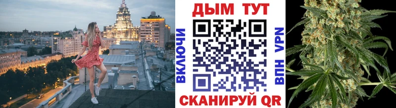 Конопля план  Абаза 